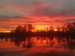 Zonsopkomst in Wernhout (foto: Corina Magielse).