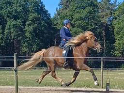 Cora en Remba tijdens het Nationaal Kampioenschap (foto: kleindochter Tiffany).