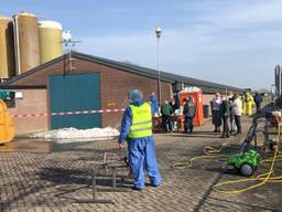 Vogelgriep vastgesteld bij pluimveebedrijf Sint-Oedenrode, drie bedrijven geruimd.