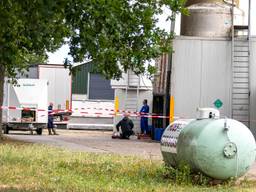 Ruiming van een nertsenfarm in Landhorst (foto: SK-Media)