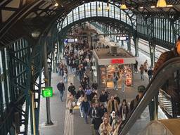 Regelmatig is het druk op het station van Den Bosch (foto: Megan Hanegraaf).
