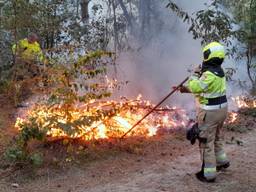Vuurkorf gevonden op plek waar bosbrand woedt