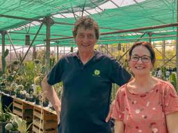 Kees heeft meer dan 1500 cactussen en vetplantjes