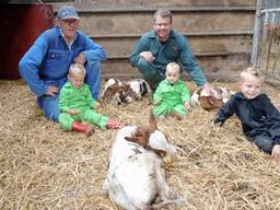 Gerrit Swinkels (links) met zoon Pieter en kleinzonen bij de drie pasgeboren kalfjes. 