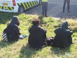 Drie van de verstekelingen (foto: politie).