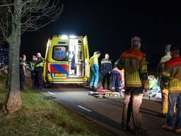 Foto: Iwan van Dun / SQ Vision.