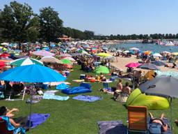 Topdrukte bij recreatieplas Hemelrijk in Volkel (foto: René van Hoof).