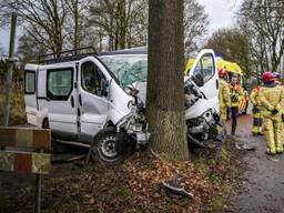 Bestelbusje crasht tegen boom