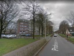 Een deel van de Professor Verbernelaan in Tilburg (foto: Google Streetview).