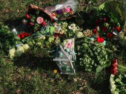 Bloemen bij de plek waar Rik van der Rakt omkwam (foto: archief).