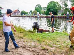 Een geredde waterbuffel (foto: Sem van Rijssel/SQ Vision).