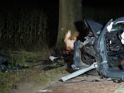 Auto botst tegen boom, twee inzittenden ernstig gewond