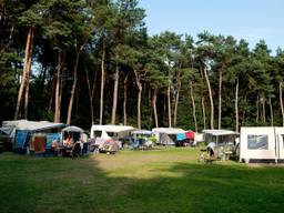 Op camping 't Zand was dit seizoen geen vrij plekje te vinden (foto: Roland Geppaard).