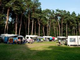Op camping 't Zand was dit seizoen geen vrij plekje te vinden (foto: Roland Geppaard).