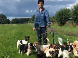 Jeannette met (een aantal van) haar honden (privéfoto)