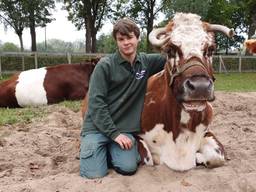 Siem tussen de dieren op kinderboerderij Wolfslaar in Breda 