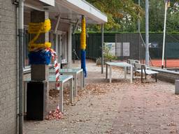 Politie onderzoekt mishandeling tiener en vernielingen in Lepelstraat