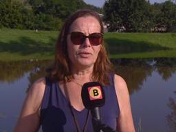 Hoogwater trekt veel bekijks in Boxmeer: 'Ik vind dit maar eng'