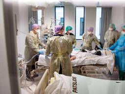 De behandeling van coronapatiënten in het Amphia Ziekenhuis in Breda (foto: ANP).