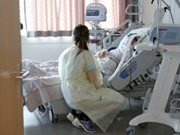 Behandeling corona patiënt in het ziekenhuis (Foto: Omroep Brabant). 