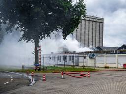 Foto: Lucas Lammers/Persbureau Heitink