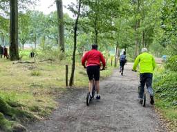 Bootcamp in het bos vanwege de hitte (foto: DStraining).
