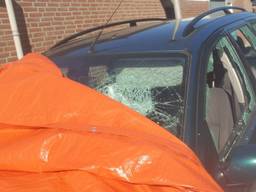 De auto's van het gezin werden met een knuppel aan diggelen geslagen.