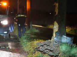De schade aan een van de bomen die door de bestuurder van een bestelbusje in Dongen is veroorzaakt (foto: Jeroen Stuve/SQ Vision Mediaprodukties).