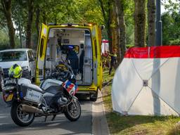 Foto: Iwan van Dun / SQ Vision