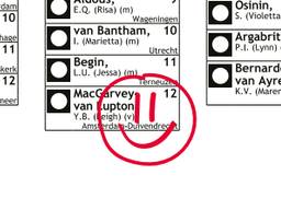 Een smiley mag (beeld: Kiesraad).