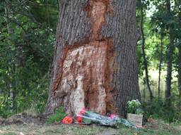 Er worden bloemen neergelegd bij de plek van het ongeluk. (foto: Collin Beijk)