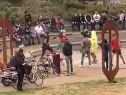 De boksende jongeren in het park in Helmond