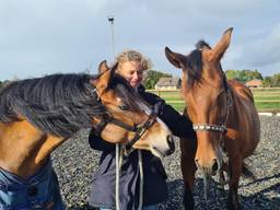 Na vreselijk drama heeft Sanne weer twee nieuwe pony's 