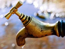 Zeventig miljoen per jaar om water in Brabant en Limburg te beheersen