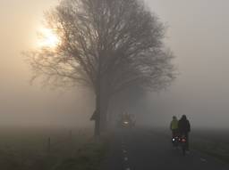 Een mistige zonsopkomst in Stiphout (foto: Willem van Nunen).