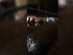 Beelden van de mishandeling staan online (beeld: Dumpert).