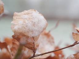 We duiken weer naar winterse temperaturen.