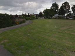 In het park in Oss zouden meerdere honden ziek zijn geworden (afbeelding: Google Streetview).