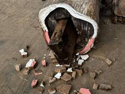 De coke zat verstopt in boomstammen (foto: Openbaar Ministerie).
