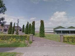 Het bedrijf van nertsenhouder Martijn van den Boogaard in Beek en Donk (beeld: Google Maps).