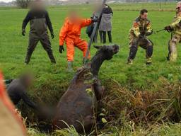 Paard komt terecht in sloot (foto: Jeroen Stuve / Persbureau Heitink)