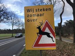 Het verkeer wordt door onder meer borden gewezen op de aanwezigheid van dieren (foto: Hans Janssen).