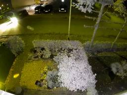 De man parkeert links in alle rust zijn wagen (foto: deurbelcamera).