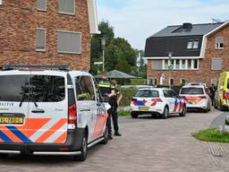 Steekpartij bij zorginstelling in Udenhout, man opgepakt