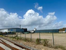 Het braakliggend terrein van Chemie-Pack aan de Vlasweg in Moerdijk (foto: Erik Peeters)