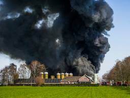 Bij een stalbrand in Sint Oedenrode kwamen in april negenduizend biggen om (foto: SQ Vision).