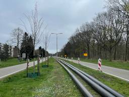 https://api.omroepbrabant.nl/img/f/$width$/$height$/0.45/0.61/bWVkaWEvcHJvZC80NDM4NzAzLmpwZz9zdj0yMDE5LTA3LTA3JnN0PTIwMjAtMDEtMDFUMDAlM0EwMCUzQTAwWiZzZT0yMDQwLTAxLTAxVDAwJTNBMDAlM0EwMFomc3I9YiZzcD1yJnNpZz1yY3p4dEZOdWdMcEVXVE5CZ0xFZThzdzFDQ3hVZDclMkJyRlhqZHJlUWU4SG8lM0Q=