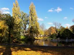 Breda wil meer groen zien, zoals in Park Valkenberg in Breda. (Archieffoto: Henk Voermans)