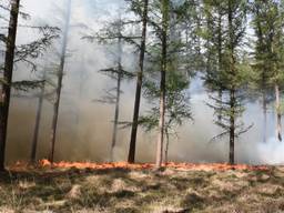 De kans op natuurbranden neemt weer toe (foto: SQ Vision).