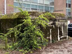 De stadsbunker staat midden in het centrum van Roosendaal (foto: Erik Peeters)